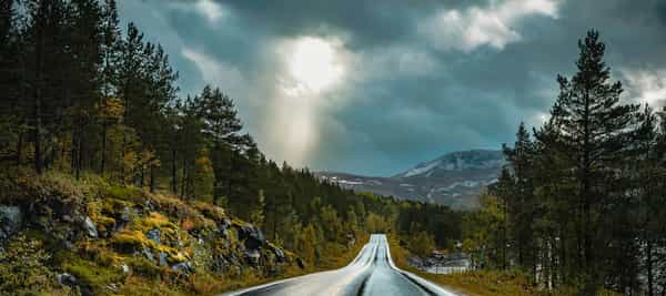 Landevei i landskap med nordisk natur